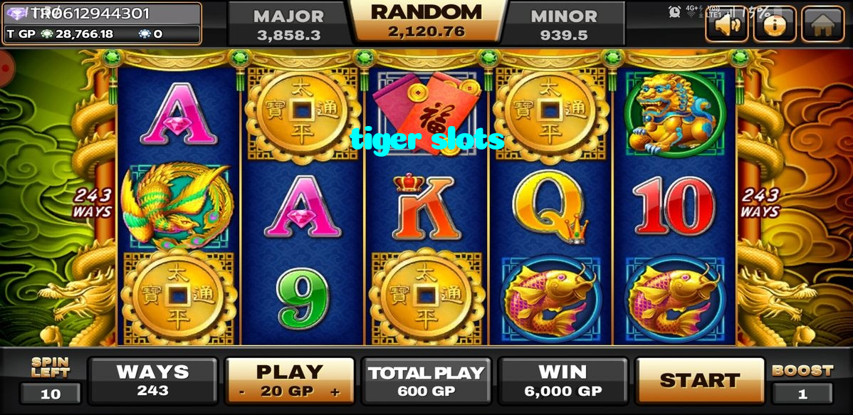 available types of tiger slots bet including pre-match live express and system bets